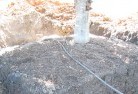 High Wycombetree-transplanting-4.jpg; ?>